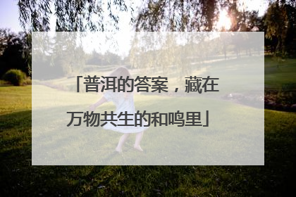 普洱的答案，藏在万物共生的和鸣里