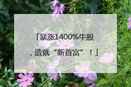 暴涨1400%牛股，造就“新首富”！