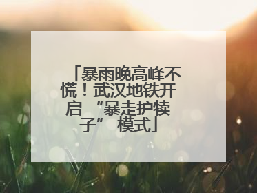 暴雨晚高峰不慌！武汉地铁开启 “暴走护犊子” 模式