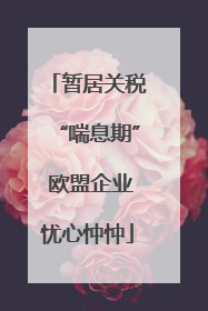 暂居关税“喘息期” 欧盟企业忧心忡忡