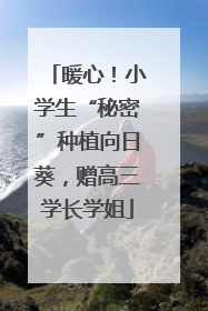 暖心！小学生“秘密”种植向日葵，赠高三学长学姐