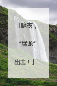 暗夜，“猛龙”出击！