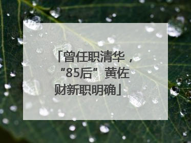 曾任职清华，“85后”黄佐财新职明确