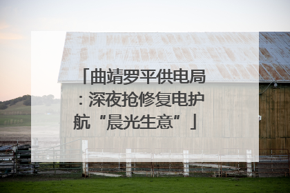 曲靖罗平供电局：深夜抢修复电护航“晨光生意”