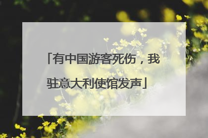 有中国游客死伤，我驻意大利使馆发声
