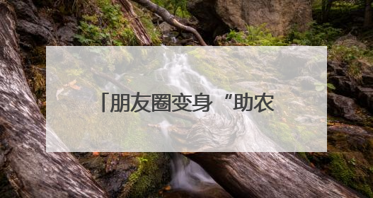 朋友圈变身“助农卖场” 武陵源区黄家坪村5天销出4000斤包菜