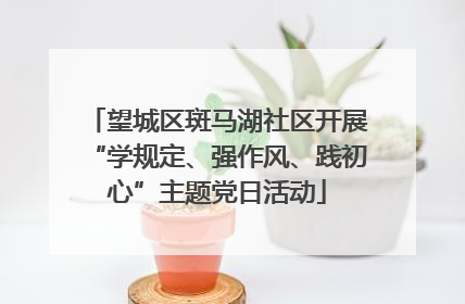 望城区斑马湖社区开展“学规定、强作风、践初心”主题党日活动