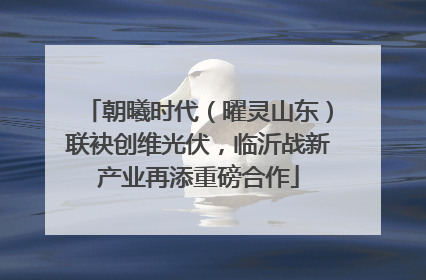 朝曦时代（曜灵山东）联袂创维光伏，临沂战新产业再添重磅合作