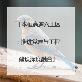 本桓高速六工区：推进党建与工程建设深度融合