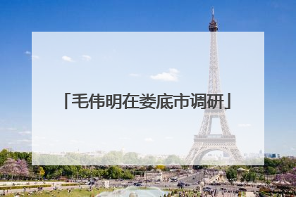 毛伟明在娄底市调研