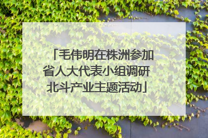 毛伟明在株洲参加省人大代表小组调研北斗产业主题活动