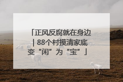 正风反腐就在身边｜88个村摸清家底变“闲”为“宝”