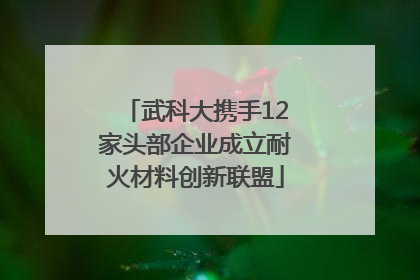 武科大携手12家头部企业成立耐火材料创新联盟