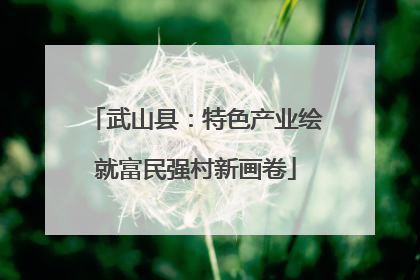 武山县：特色产业绘就富民强村新画卷