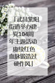 武昌紫阳街道举办建党104周年主题活动 赓续红色血脉锻造过硬作风