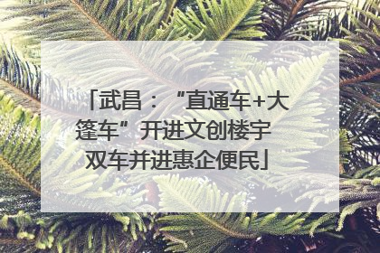 武昌：“直通车+大篷车”开进文创楼宇 双车并进惠企便民