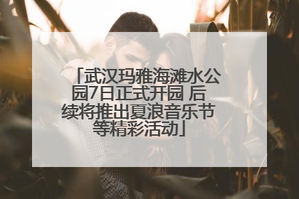 武汉玛雅海滩水公园7日正式开园 后续将推出夏浪音乐节等精彩活动