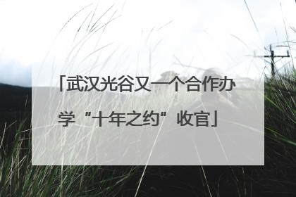 武汉光谷又一个合作办学“十年之约”收官