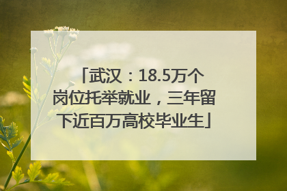武汉：18.5万个岗位托举就业，三年留下近百万高校毕业生