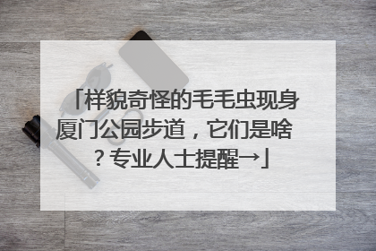样貌奇怪的毛毛虫现身厦门公园步道，它们是啥？专业人士提醒→