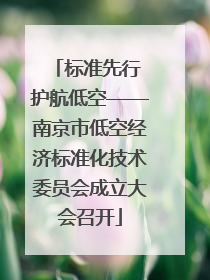 标准先行 护航低空——南京市低空经济标准化技术委员会成立大会召开