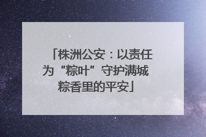 株洲公安：以责任为“粽叶”守护满城粽香里的平安