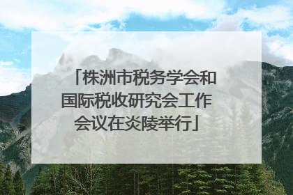 株洲市税务学会和国际税收研究会工作会议在炎陵举行