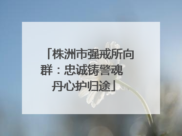 株洲市强戒所向群：忠诚铸警魂 丹心护归途