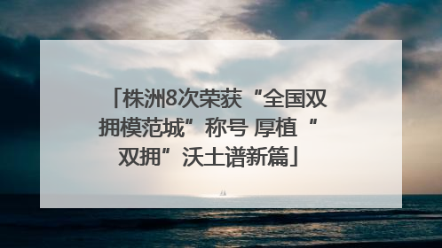 株洲8次荣获“全国双拥模范城”称号 厚植“双拥”沃土谱新篇