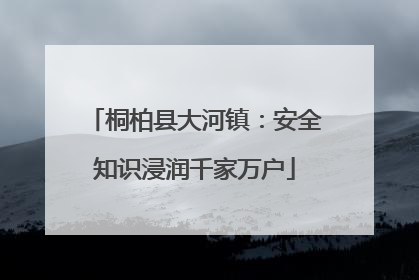 桐柏县大河镇：安全知识浸润千家万户