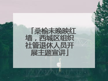 桑榆未晚映红墙，西城区组织社管退休人员开展主题宣讲