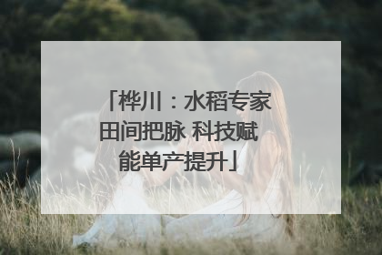 桦川：水稻专家田间把脉 科技赋能单产提升