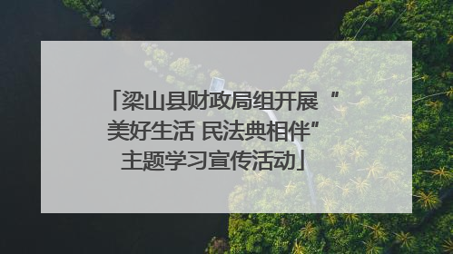 梁山县财政局组开展“美好生活 民法典相伴”主题学习宣传活动