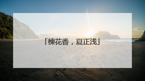 楝花香，夏正浅