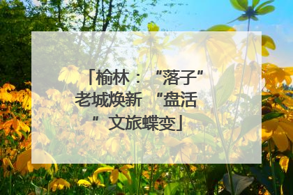 榆林：“落子”老城焕新 “盘活”文旅蝶变