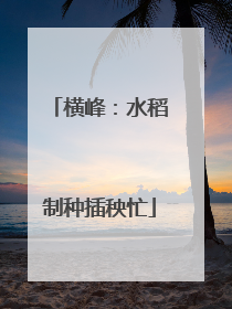 横峰：水稻制种插秧忙