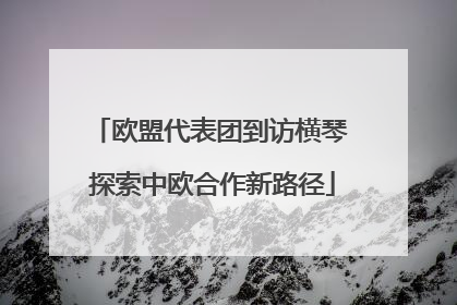 欧盟代表团到访横琴 探索中欧合作新路径