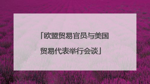 欧盟贸易官员与美国贸易代表举行会谈