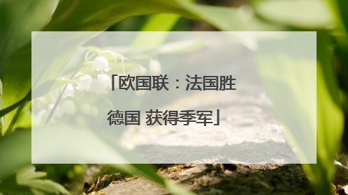 欧国联：法国胜德国 获得季军