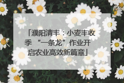 濮阳清丰：小麦丰收季 “一条龙”作业开启农业高效新篇章