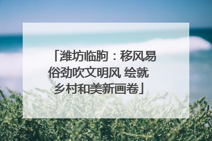 潍坊临朐：移风易俗劲吹文明风 绘就乡村和美新画卷