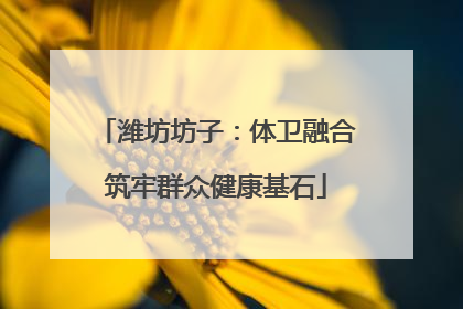 潍坊坊子：体卫融合筑牢群众健康基石