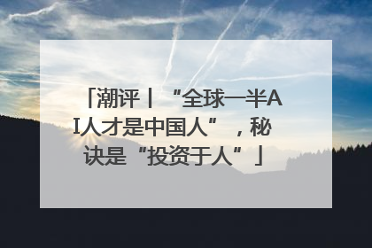 潮评丨“全球一半AI人才是中国人”，秘诀是“投资于人”