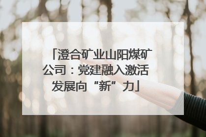 澄合矿业山阳煤矿公司：党建融入激活发展向“新”力