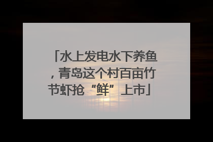 水上发电水下养鱼，青岛这个村百亩竹节虾抢“鲜”上市