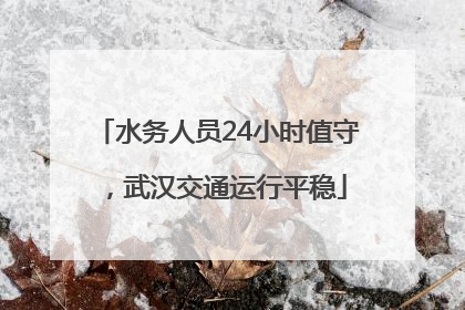 水务人员24小时值守，武汉交通运行平稳