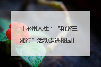永州人社：“和谐三湘行”活动走进校园