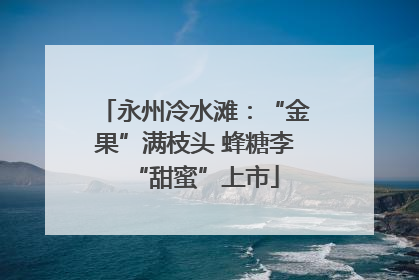 永州冷水滩：“金果”满枝头 蜂糖李“甜蜜”上市
