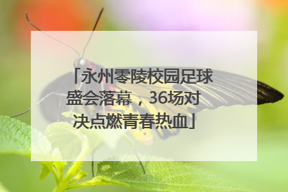 永州零陵校园足球盛会落幕，36场对决点燃青春热血