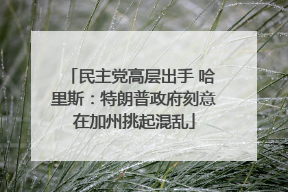 民主党高层出手 哈里斯：特朗普政府刻意在加州挑起混乱